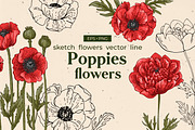 Flowers Poppies. Sketch vector, a Decorative Illustration by irina.vaneeva (Thumbnail 1 of 4)