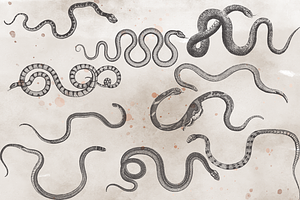 VintageVectorized-Snakes Clipart