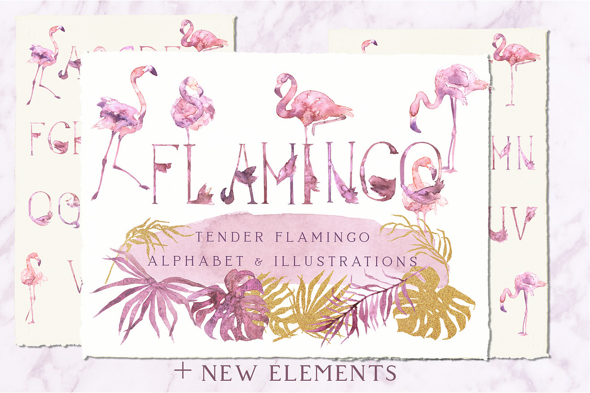 -20% Tender Flamingo Alphabet, an Illustration by Cat In Colour (Photo 1 of 10)
