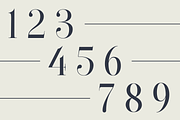 Paradizo - Elegant Serif Font, a Serif Font by Surplus Type Co (Thumbnail 6 of 8)