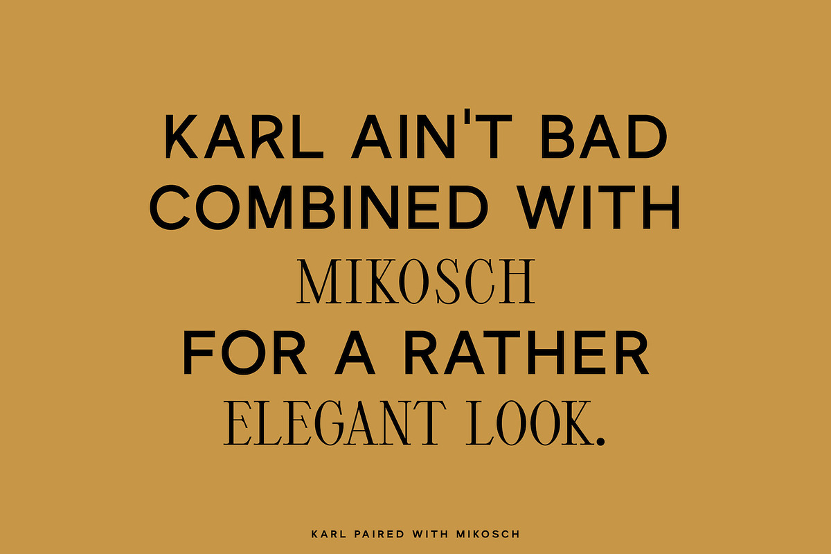 Karl – Cool Sans w Unique Alternates, a Sans Serif Font by Local Desk Designstudio (Photo 15 of 28)