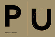 Karl – Cool Sans w Unique Alternates, a Sans Serif Font by Local Desk Designstudio (Thumbnail 27 of 28)