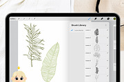 36 Leaf Procreate Stamp Brush, a Brush Add-On by Natalya_Mona_Art (Thumbnail 6 of 9)