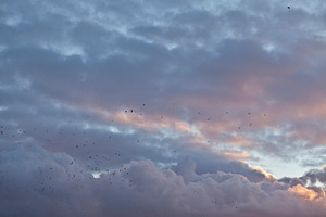 Sunset sky featuring sunset, sky, and clouds
