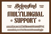 BelongFind - Display Serif, a Serif Font by Shakira Studio (Thumbnail 8 of 10)