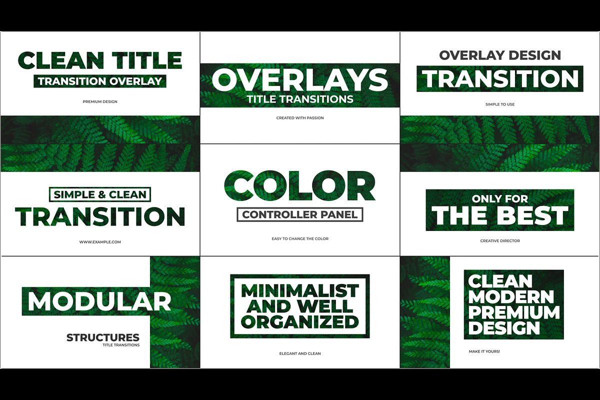 Overlay Title Transitions (AE), a Templates & Theme by MinnaPicture (Photo 2 of 2)