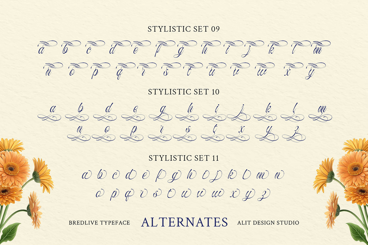 Bredlive Typeface, a Script Font by alit design (Photo 19 of 20)
