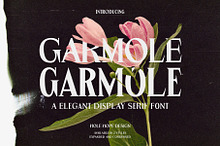 Garmole - Elegant Serif Font