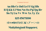 Stylish Retro Serif Font - Rukola, a Serif Font by Font Liner (Thumbnail 9 of 9)