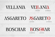 Pastone - Elegant Serif Font, a Serif Font by Creavibes Design (Thumbnail 4 of 18)