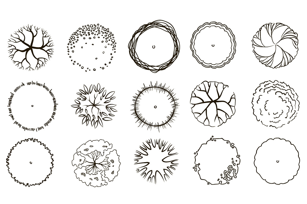 Set of graphic trees, top view, an Illustration by Lina_Lisichka (Photo 3 of 5)
