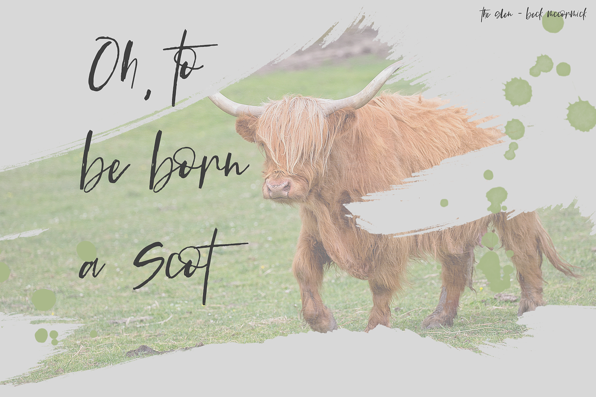The Glen Brush Script preview 8