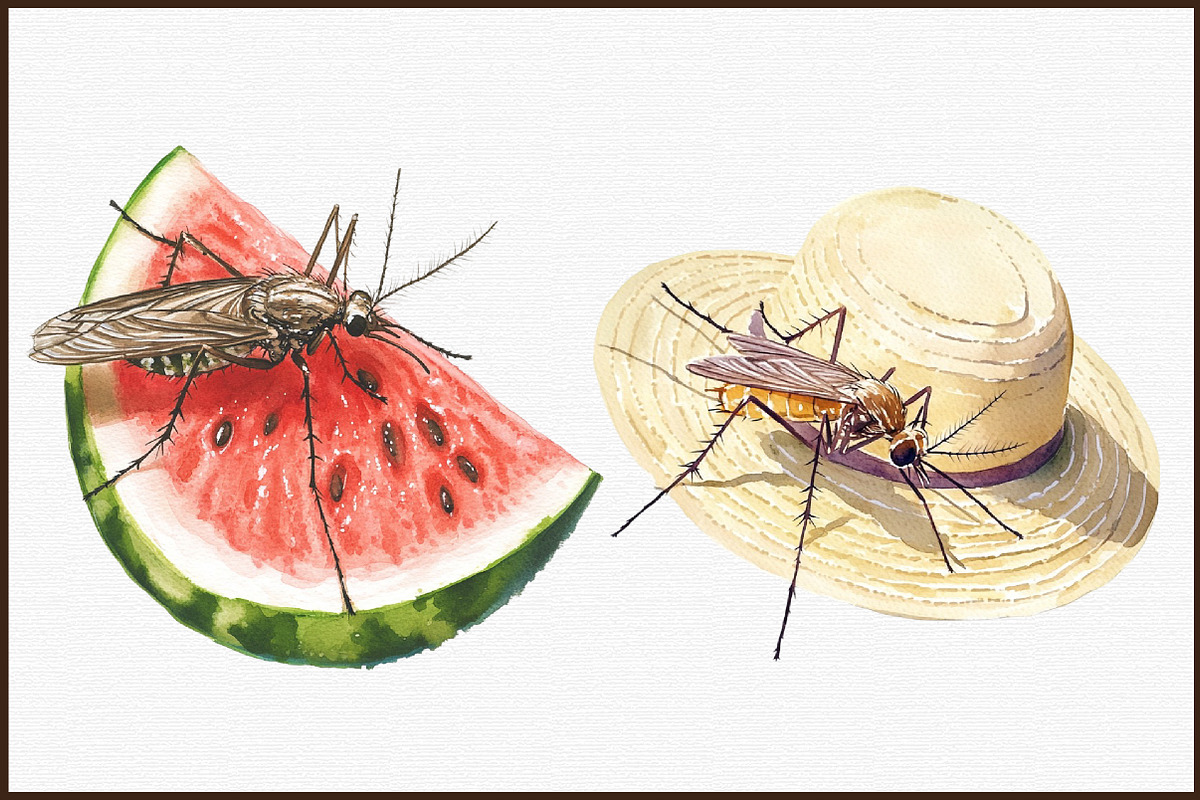 Summer Mosquitoes Clipart, an Illustration by Sublimation Artist (Photo 3 of 6)