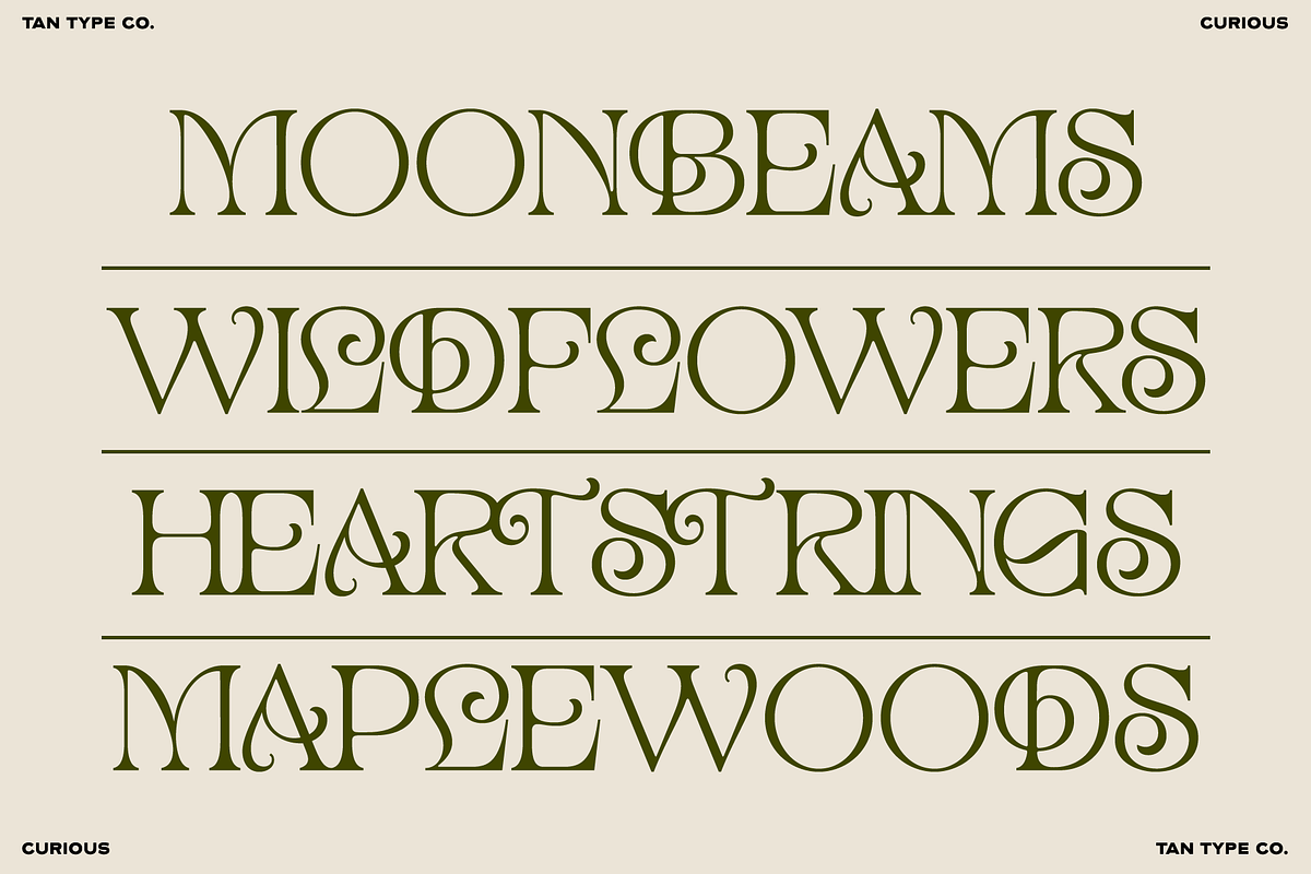TAN - CURIOUS, a Serif Font by TanType (Photo 4 of 11)