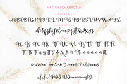 NATSUKI, a Script Font by Olexstudio (Thumbnail 5 of 8)