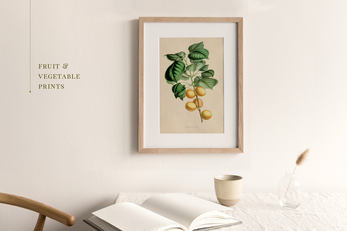 BUNDLE: 200 Vintage Art Prints, a Decorative Illustration by The Object Atlas (Photo 19 of 22)