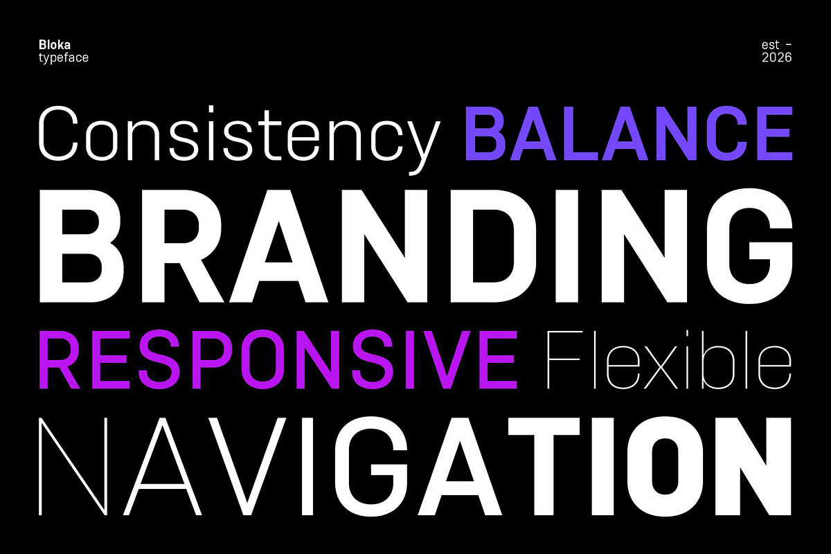 Bloka | Sans Serif Family, a Font by Digitype Studio (Photo 6 of 14)