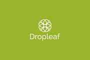 Dropleaf – Modern Nature Logo Design, a Branding & Logo Template by arhabib (Thumbnail 8 of 13)