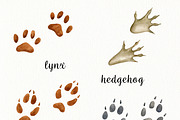 Watercolor Forest Animals Clipart, a Graphic by svetodesign (Thumbnail 11 of 12)