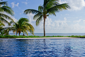 Palm Trees w/ Pool & Ocean