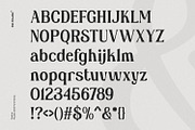 Sealine, a Serif Font by din-studio.com (Thumbnail 6 of 11)