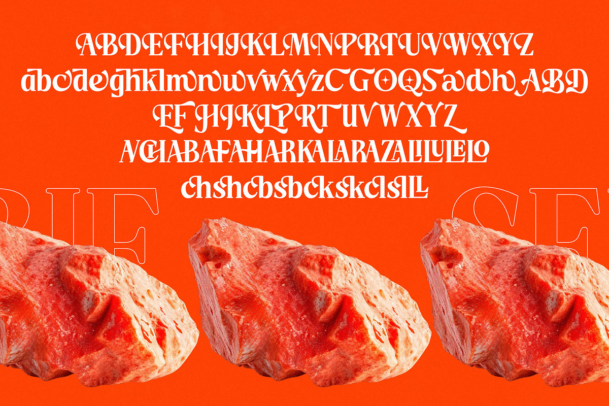 Choarll Modern Serif Display, a Serif Font by timelesstype.co (Photo 18 of 20)