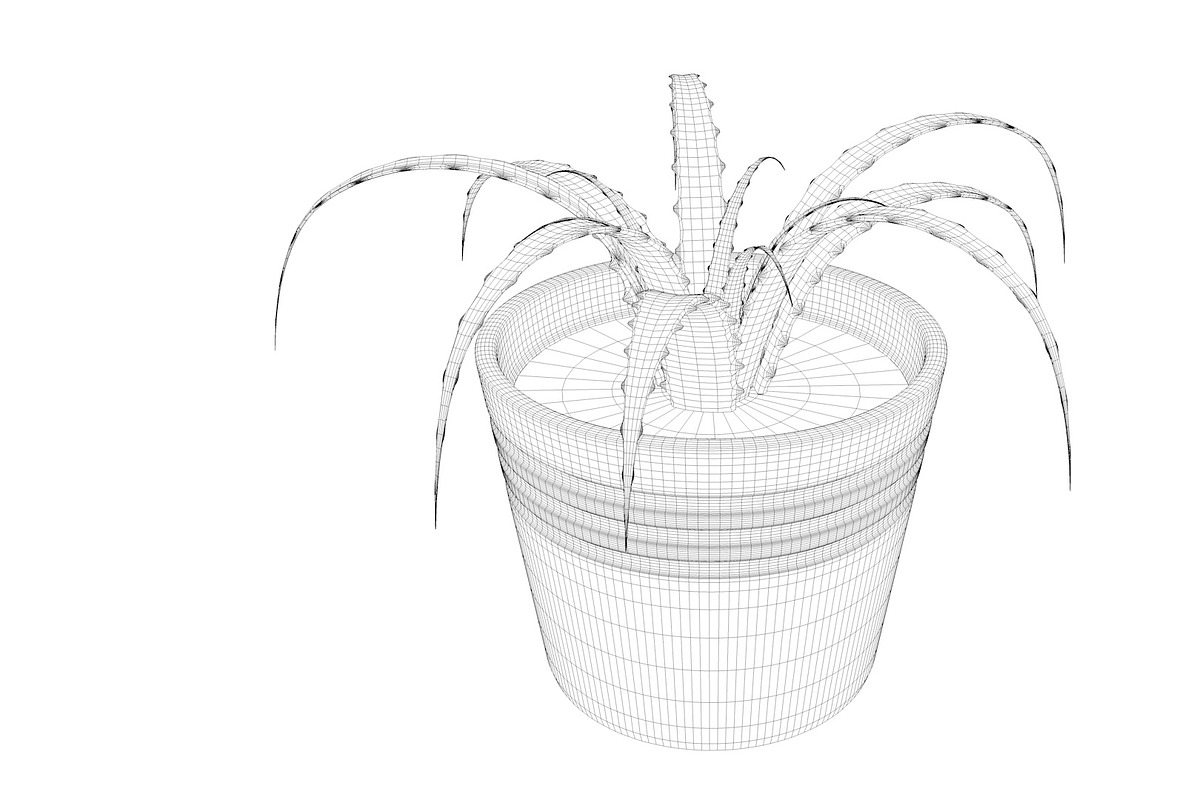 Plant n°1, an Object 3D Model by 3D Furnishing (Photo 20 of 20)