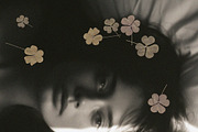 Oshibana Dried & Pressed Fall Leaves, an Object Graphic by Lana Elanor (Thumbnail 4 of 17)