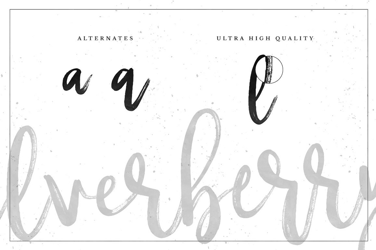 Silverberry - Dry Ink Font preview 6