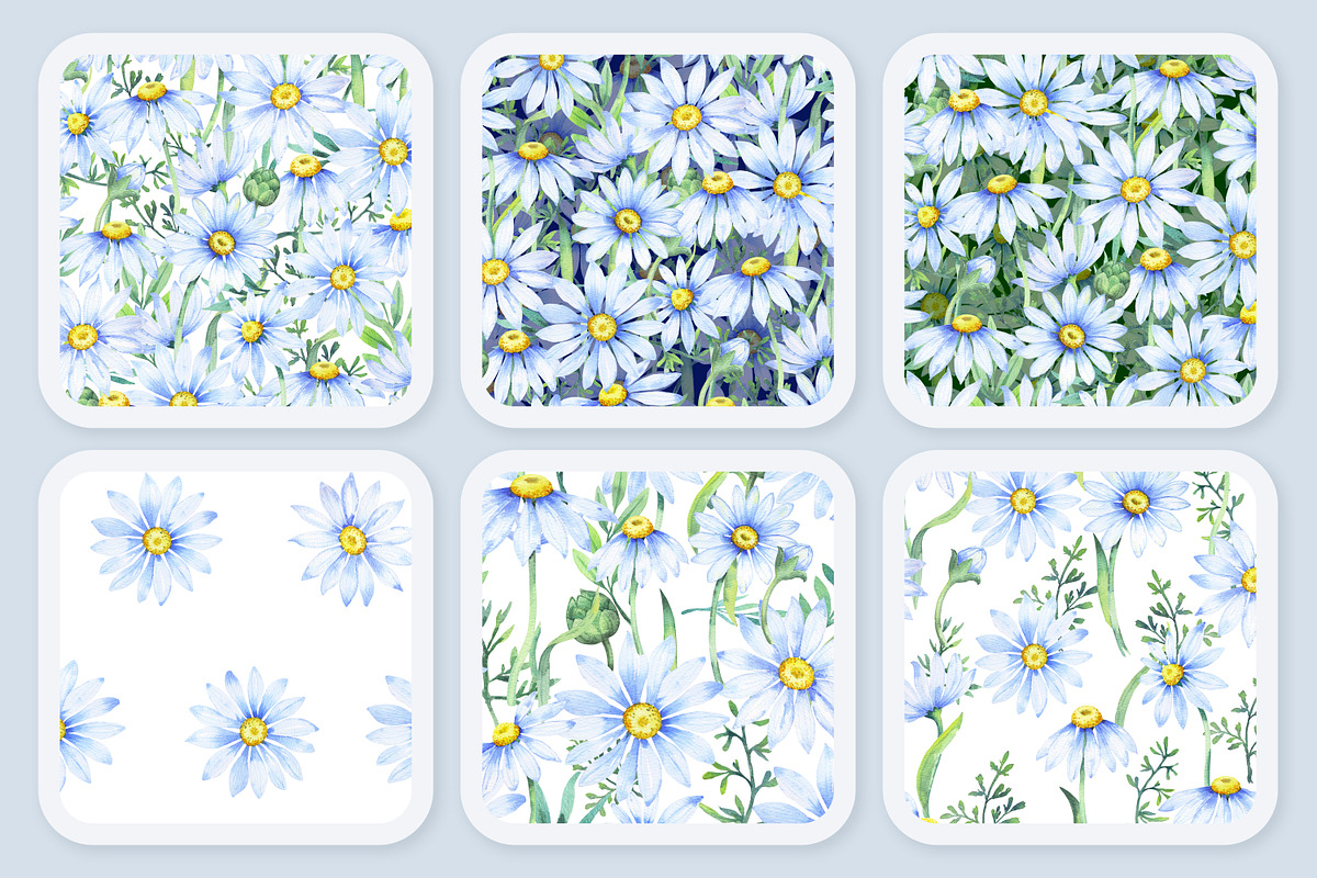 Delicate daisies, a Decorative Illustration by EshaStudio (Photo 4 of 9)