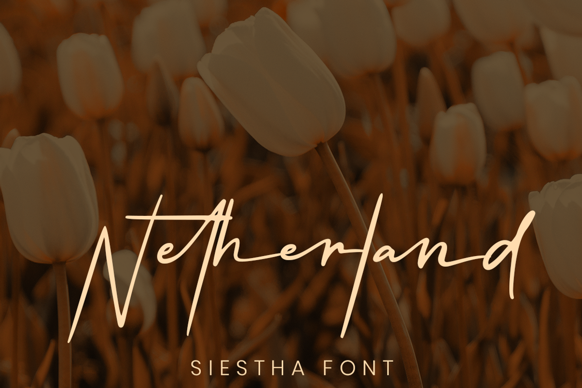 Siestha preview 4