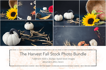 Harvest Fall Stock Photo Bundle