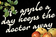 Quiscript Quisans, a Script Font by Adam Fathony (Thumbnail 9 of 17)