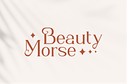 Agata - Modern Elegant Serif, a Serif Font by Vroz Studio (Thumbnail 4 of 11)
