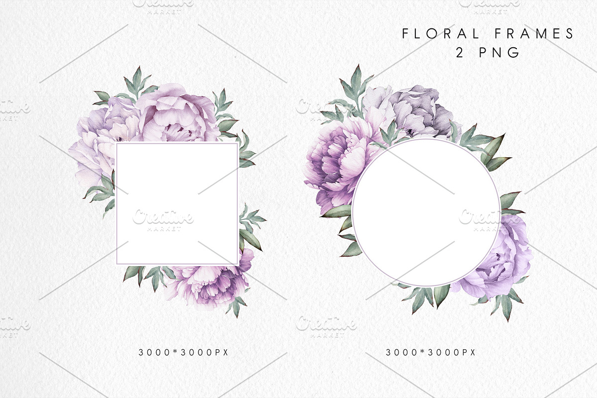 Watercolor flowers, Peonies, a Decorative Illustration by ollalya (Photo 4 of 9)