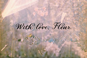 Velvet Fleur - Elegant Script Font, a Script Font by Mneme (Thumbnail 5 of 11)