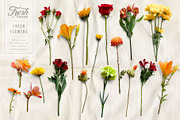 Fresh & Dried Flower Flat Lay, a Product Mockup by Eclectic Anthology (Thumbnail 6 of 8)