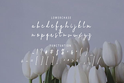 Lamelan, a Script Font by GlottaTypeface (Thumbnail 8 of 8)