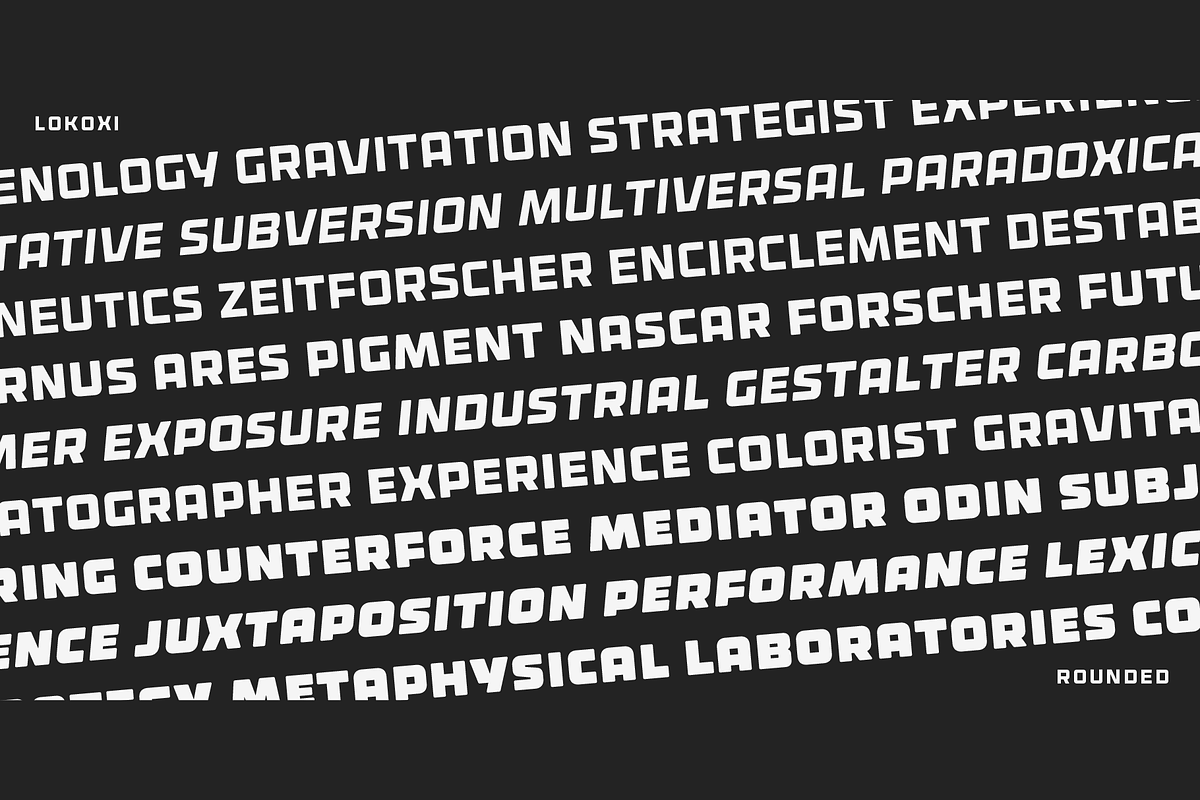 Lokoxi - Full Family, a Sans Serif Font by Anfound Type (Photo 14 of 14)