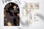 Wildflowers Watercolor Collection, a Decorative Illustration by Les Frolova (Thumbnail 2 of 12)