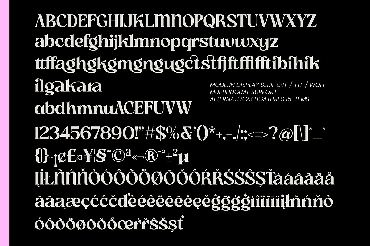 Slow Bar Stories Display Serif, a Serif Font by AmorfaType (Photo 8 of 8)