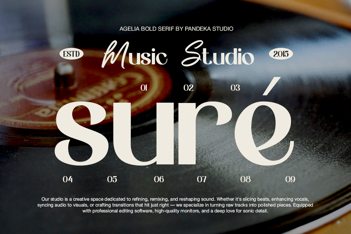 Agelia - Eternal Serif, a Serif Font by Pandeka Studio (Photo 6 of 9)