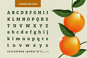 Serifnova, a Serif Font by graphicook (Thumbnail 3 of 10)