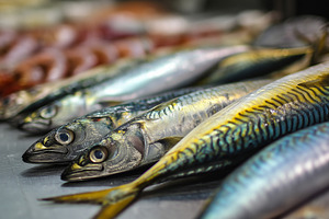Close up on fresh fish and seafood, a Food & Drink Photo by MistyDay