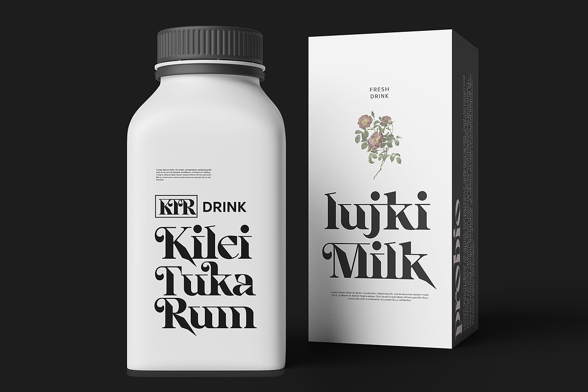 Anshizun, a Serif Font by Wildan Type (Photo 4 of 8)