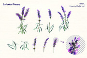 Lavender watercolor clipart, an Animal Illustration by Where summer is (Thumbnail 2 of 7)