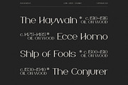 Bosch Display Font, a Serif Font by iframe fonts (Thumbnail 4 of 14)
