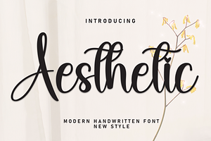 Aesthetic Script Font