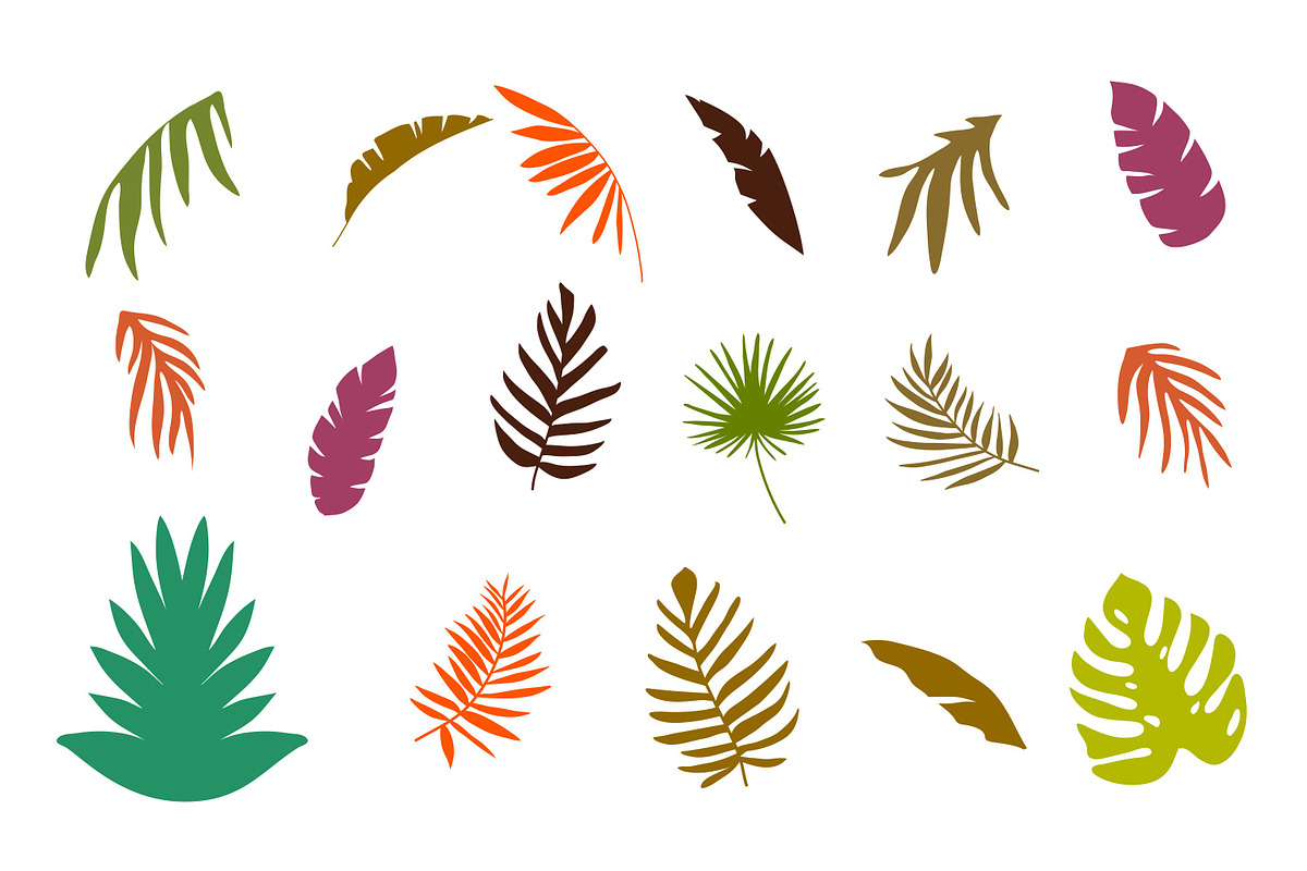 tropical leaves collection, a Decorative Illustration by nicollr's store (Photo 2 of 3)