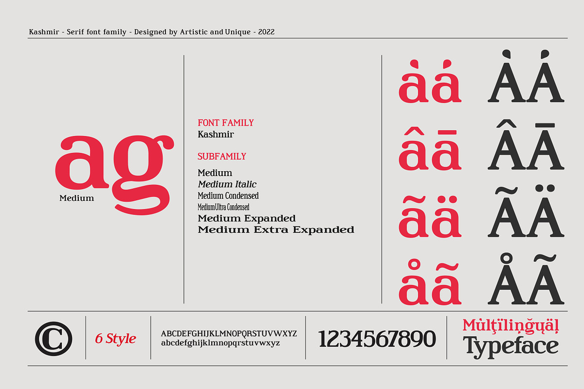 Kashmir - Serif font family, a Serif Font by Artistic & Unique (Photo 3 of 15)